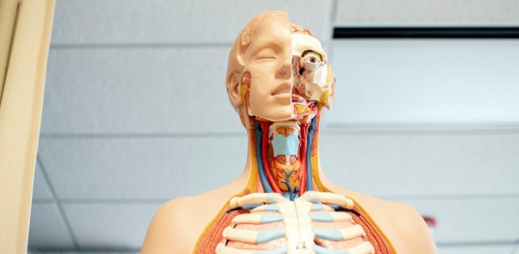 argomenti biologia test medicina