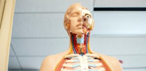 argomenti biologia test medicina