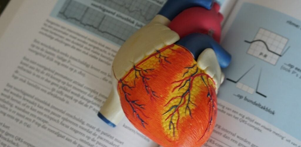 il cuore riassunto