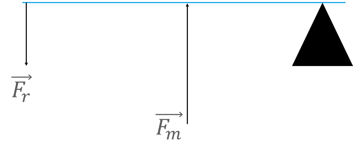 Le leve formule, tipi, esempi Le leve formule, tipi, esempi