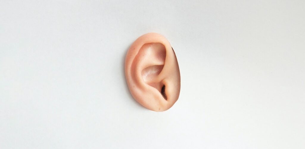 tecnico audioprotesista