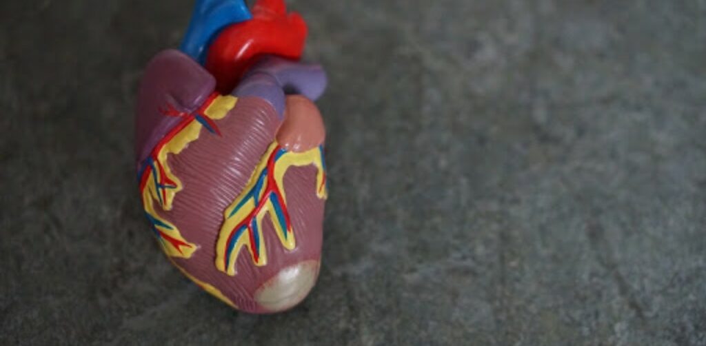 tecnico della fisiopatologia cardiocircolatoria e perfusione cardiovascolare