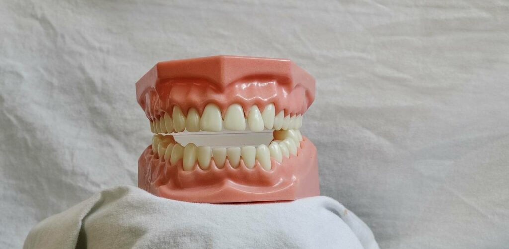 test odontoiatria 2023