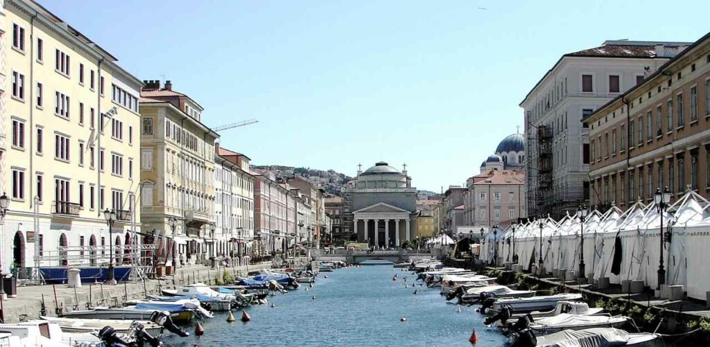 facoltà medicina Trieste
