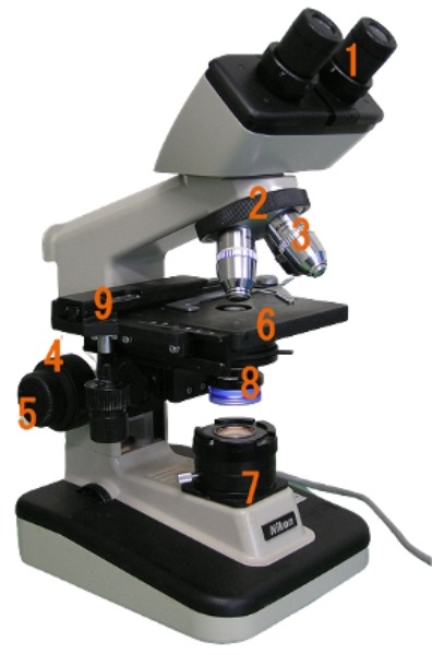 5mm di spessore circolare concavo cavà microscopio