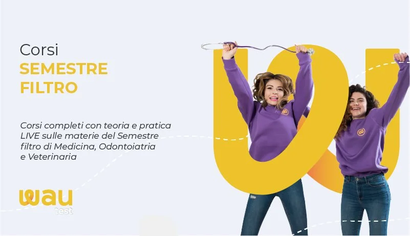 stemma semestre filtro