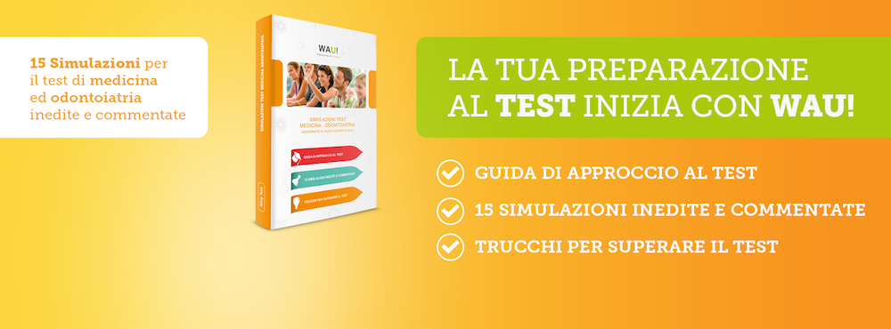 libro simulazioni