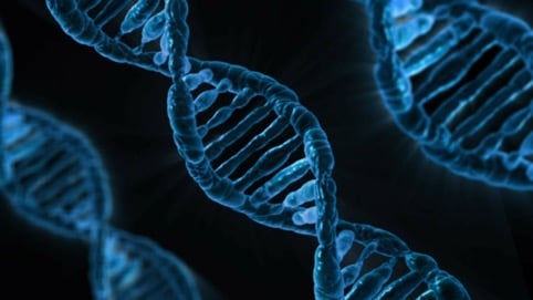 test_medicina_2017_dna.jpg