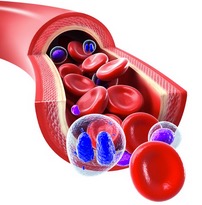 test_medicina_2017_sangue.jpg